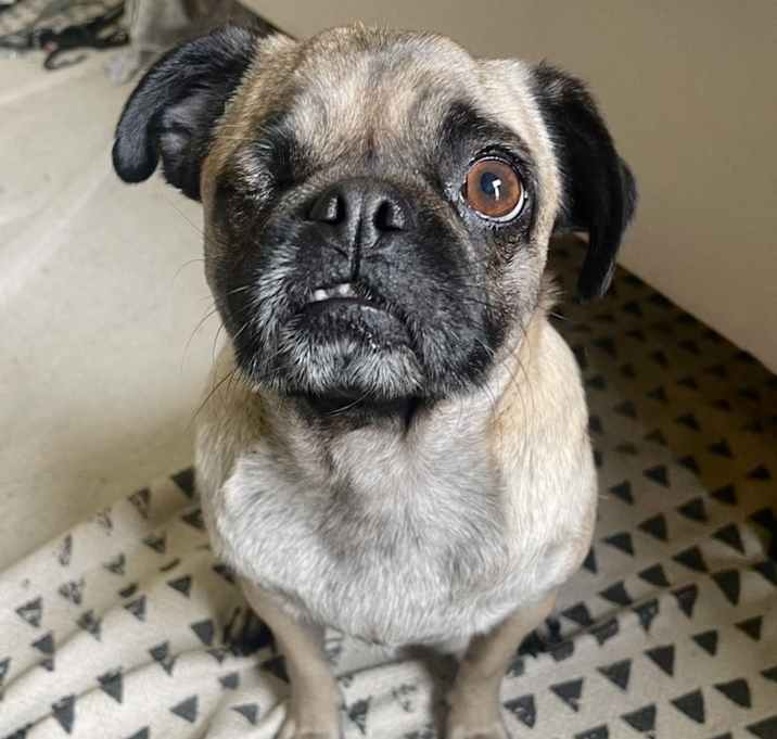 Photo of Abby