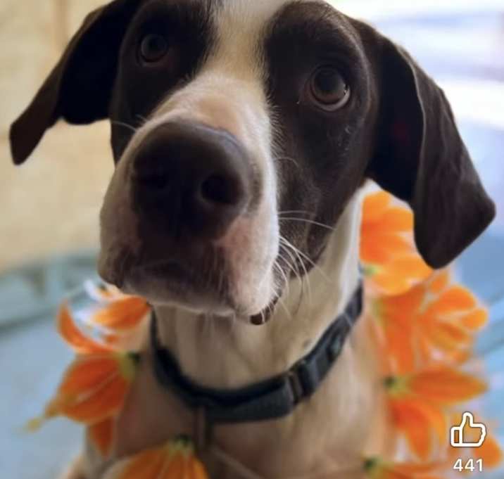 Photo of Charlie