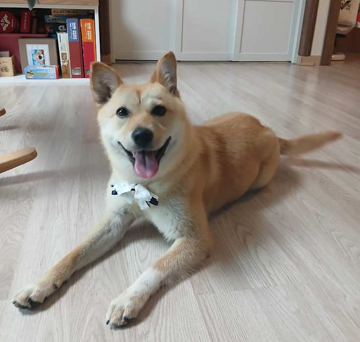 Photo of Loongji