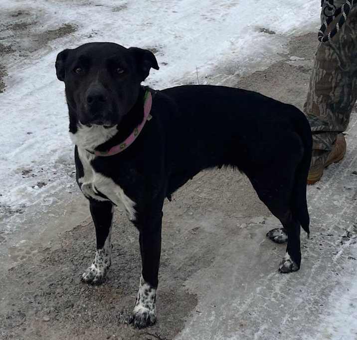 Photo of Darla