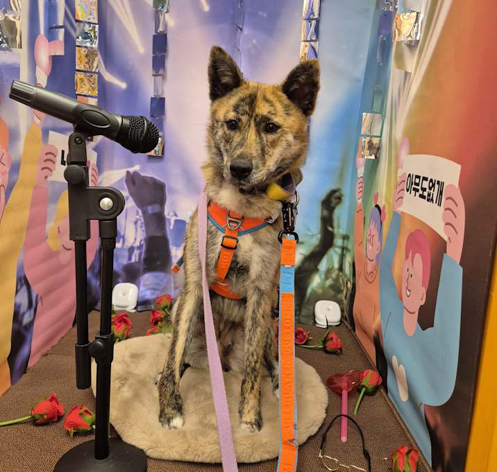 Photo of Hwasa
