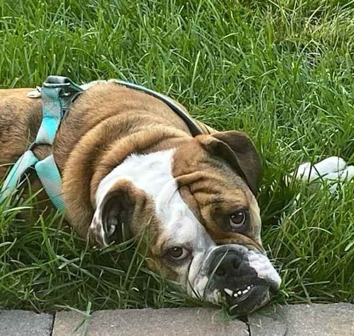 Photo of Norah Roxie Jean