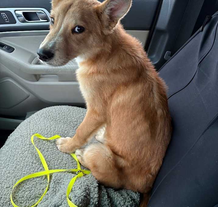 Photo of Yogi