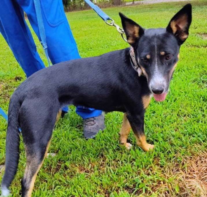 Photo of Bella Carol