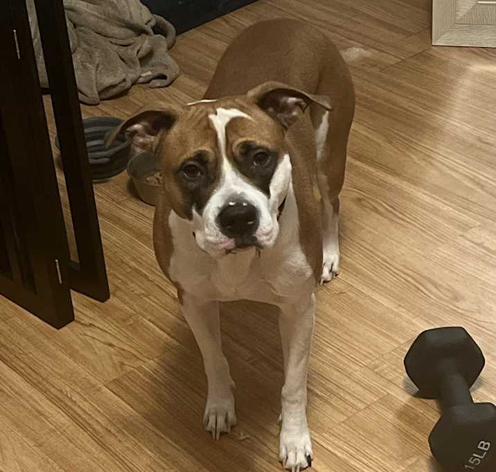Photo of Hunter