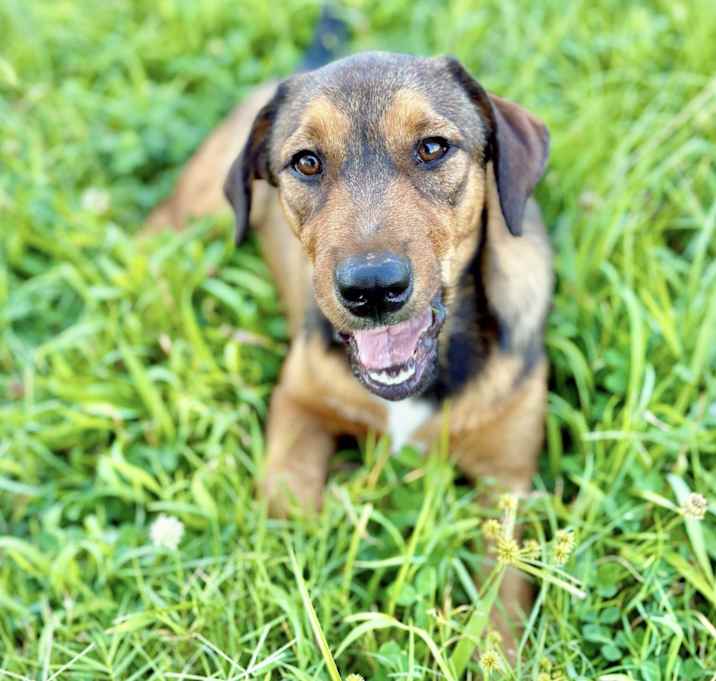 Photo of Ellie
