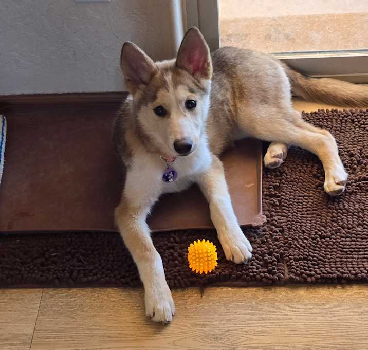 Photo of Darbie