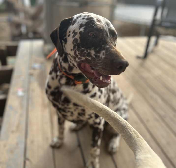 Photo of Cielo