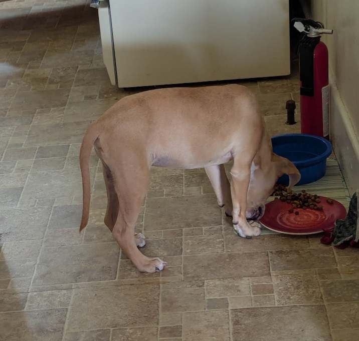 Photo of Charlie