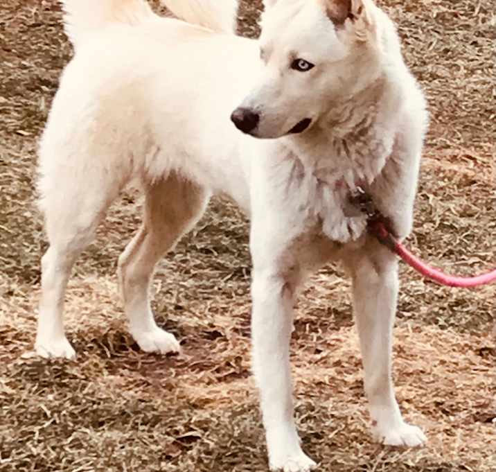 Photo of Blanca