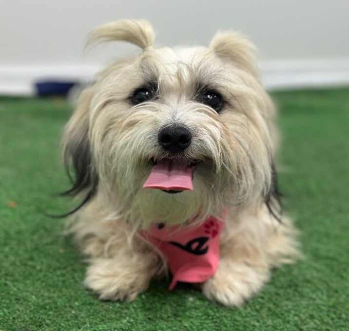 Photo of Elsie