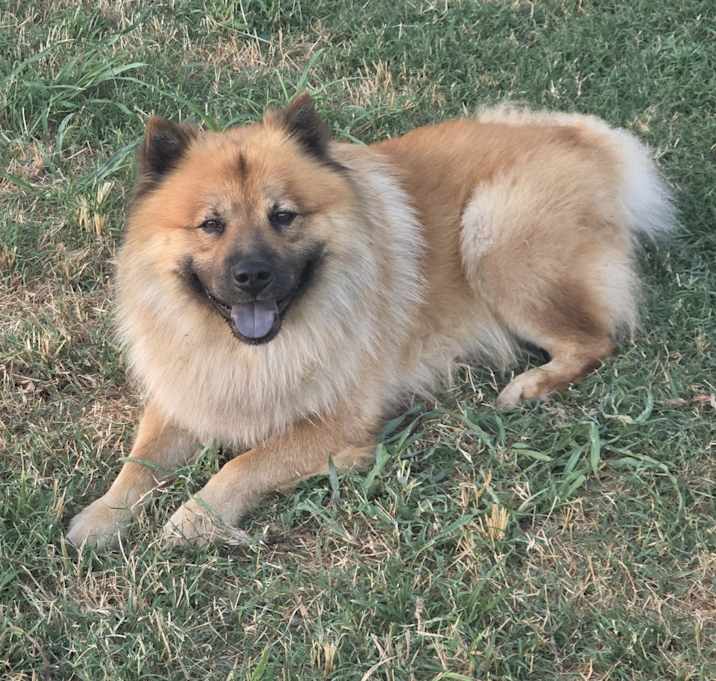 Photo of Charlie