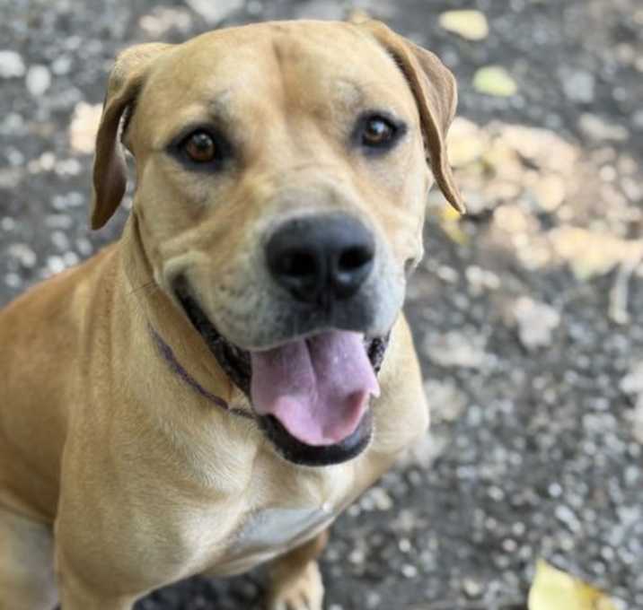 Photo of Ellie Mae Available 8/8