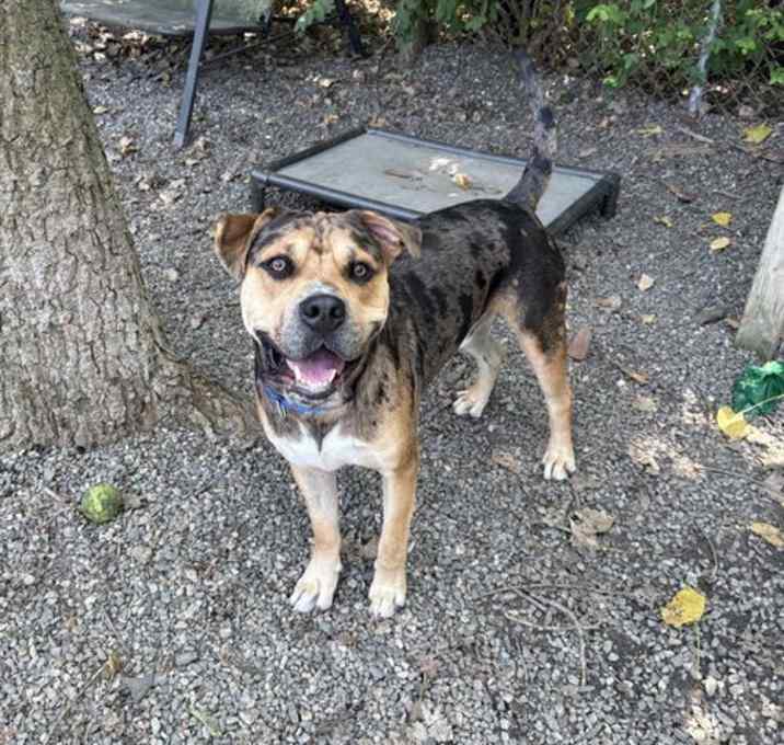 Photo of Hercules