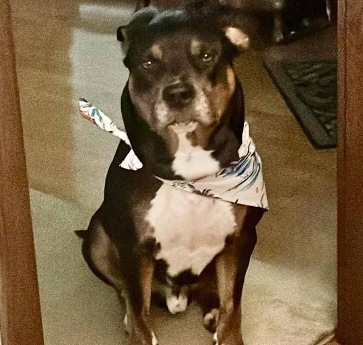 Photo of Lex