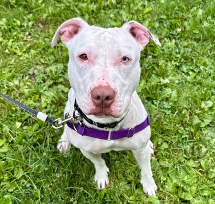 Photo of Lola