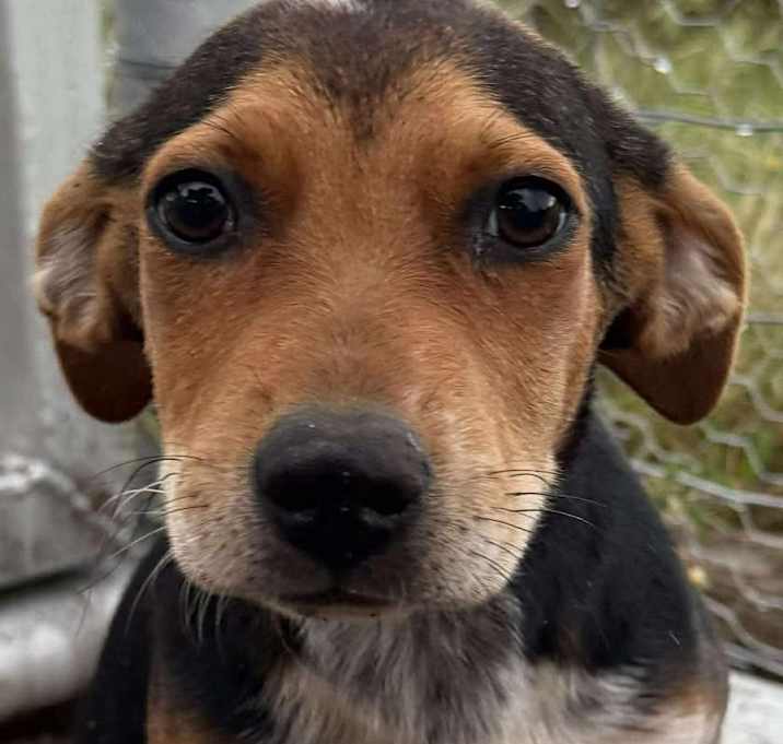 Photo of Winnie