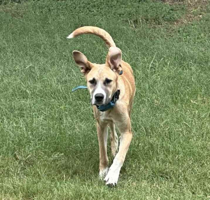 Photo of Flip