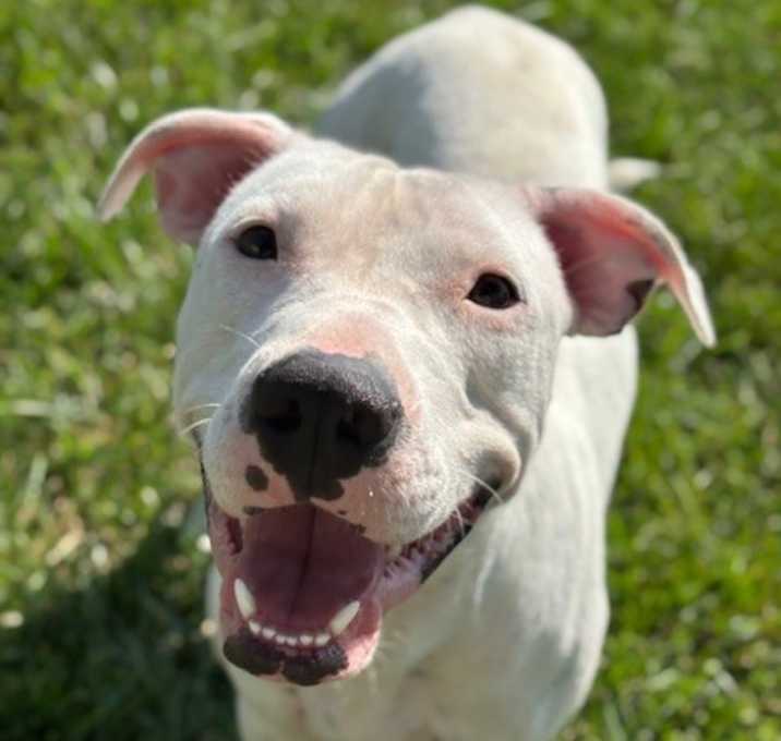 Photo of KORA