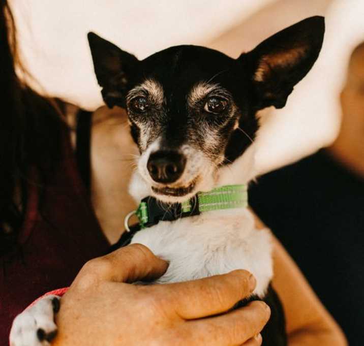 Photo of Sweetie