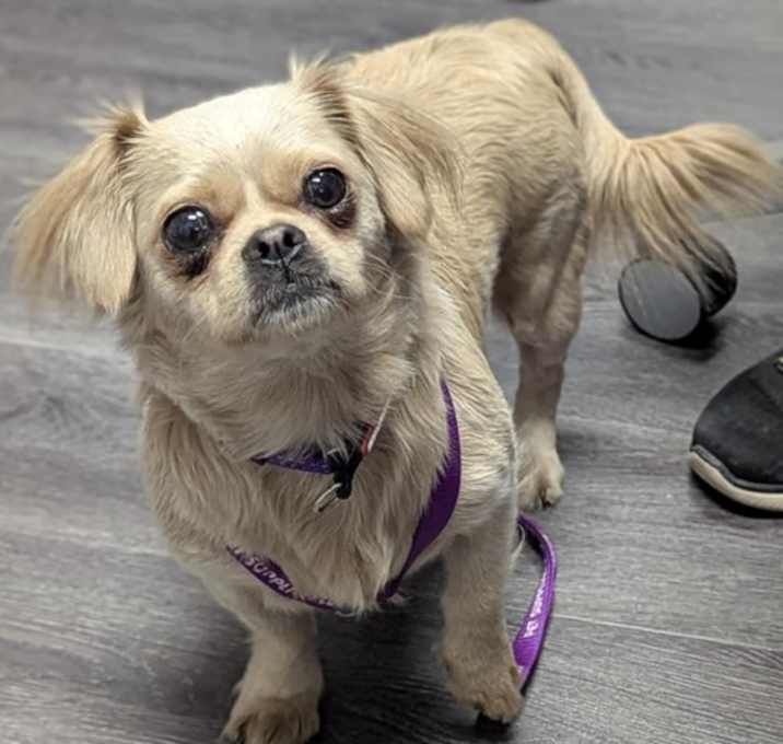 Photo of Miss Marta