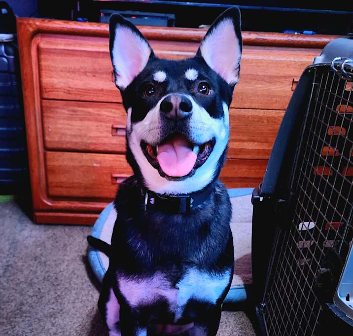 Photo of Aeris