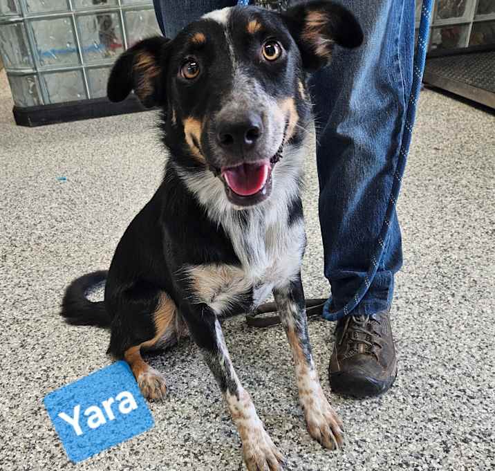 Photo of Yara