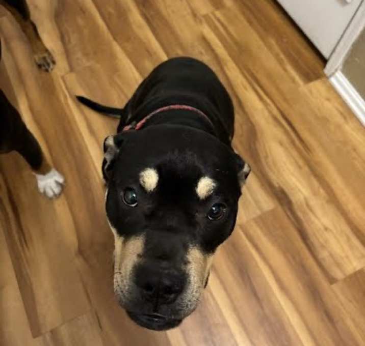 Photo of Tia
