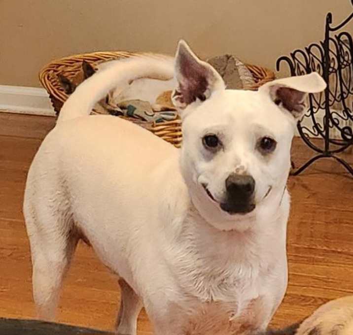 Photo of ZEKE, JR.