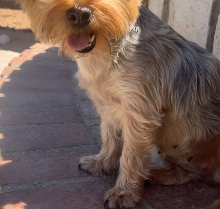 Photo of Leia
