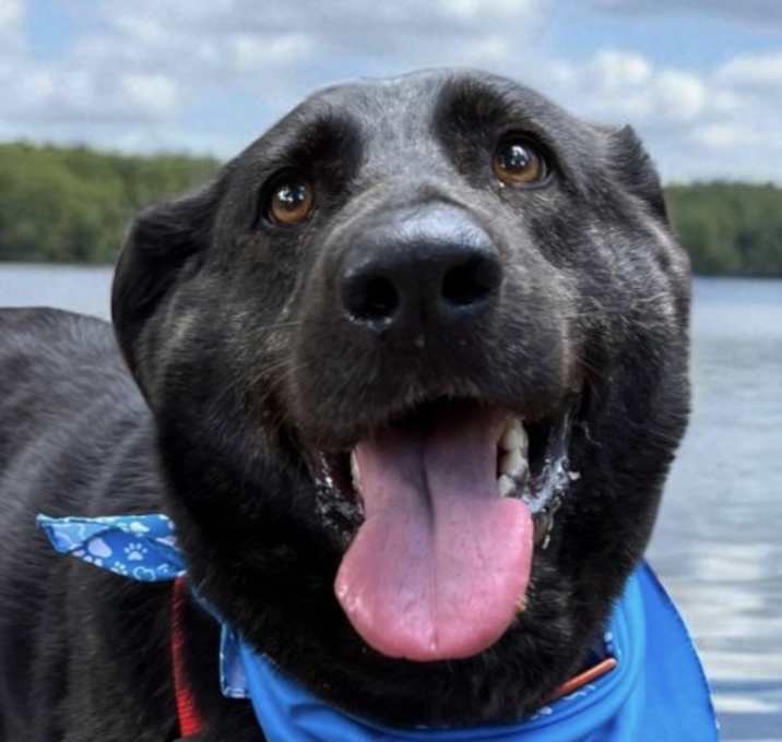 Photo of Layla