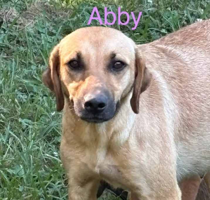 Photo of Abby