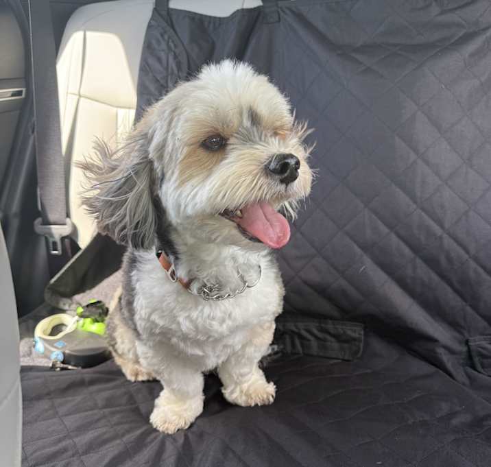 Photo of Rocket