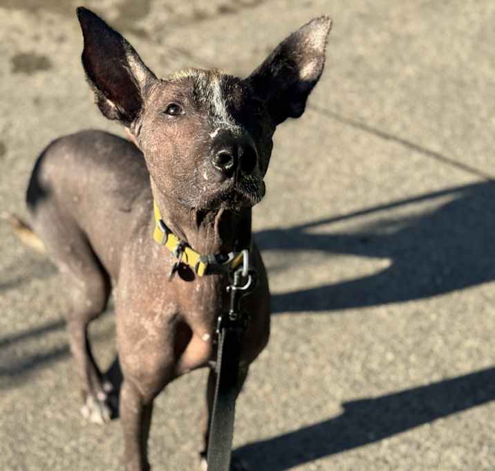 Photo of Reggie