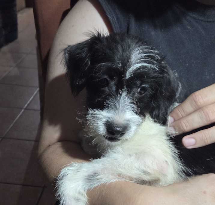Photo of Bobby