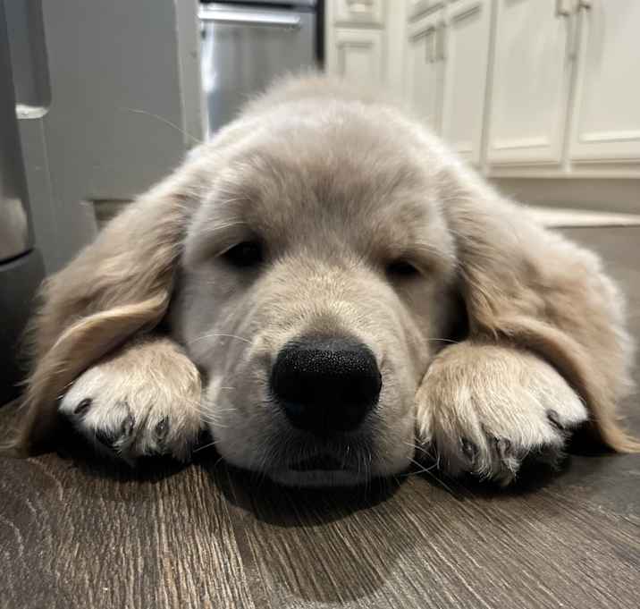 Photo of Cash