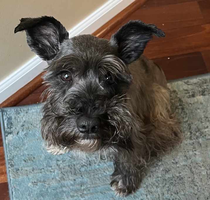 Photo of Cali