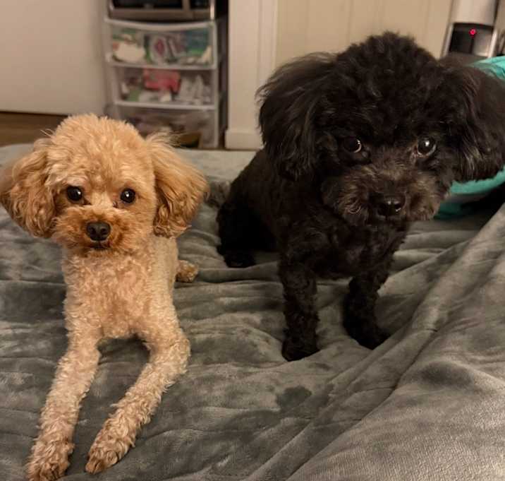 Photo of Sugar&Perfect