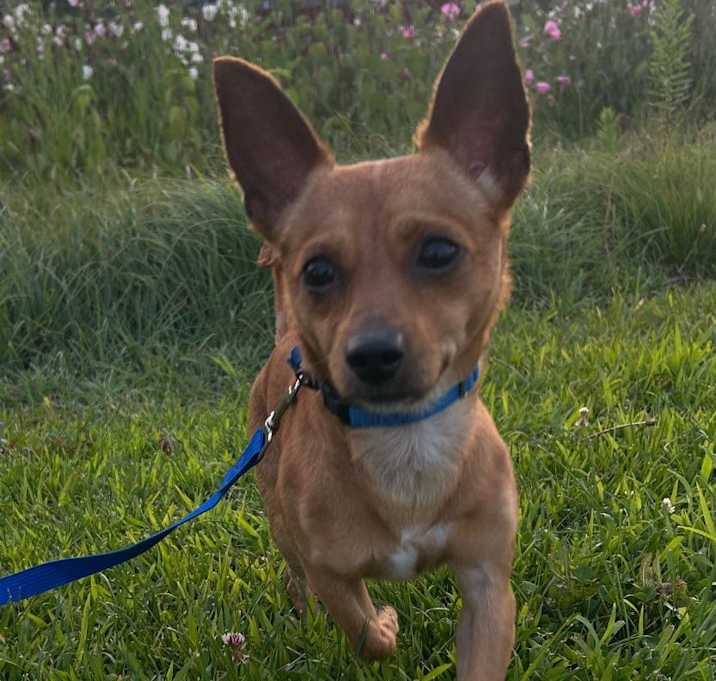 Photo of Monty