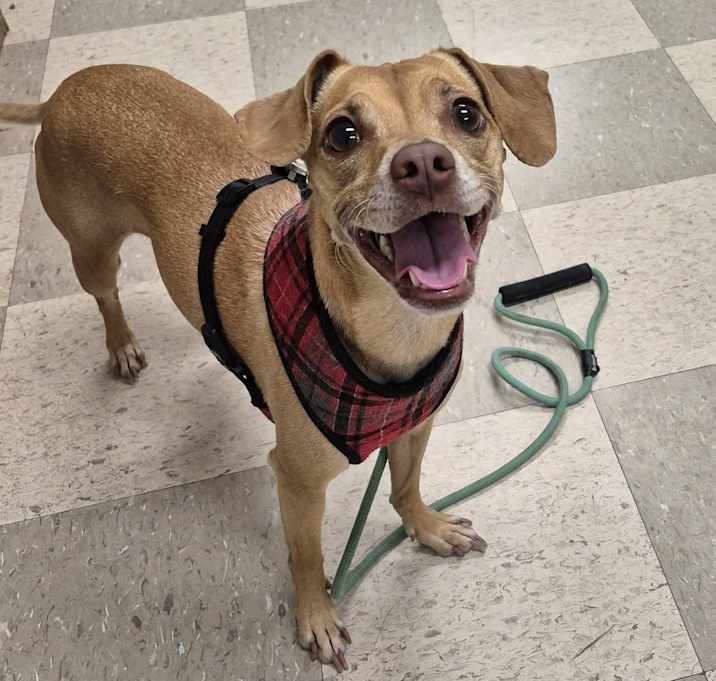 Photo of Lola