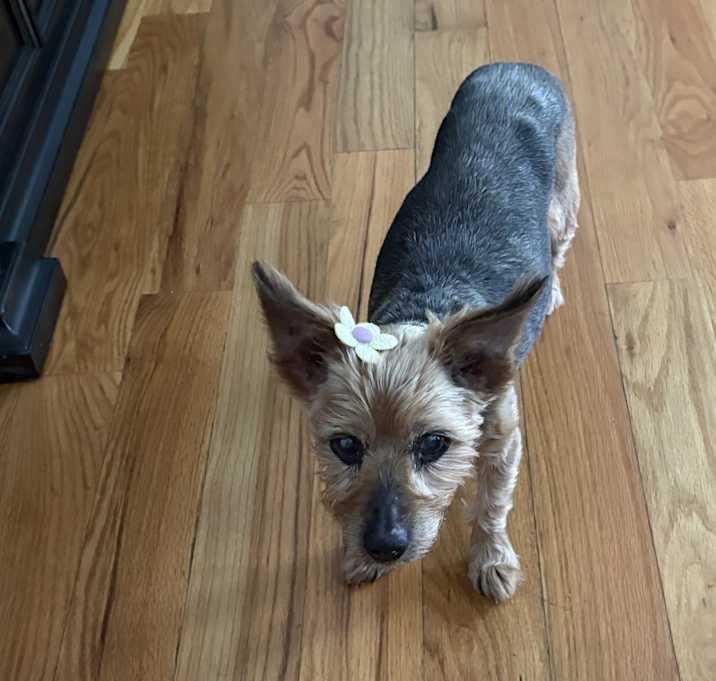 Photo of Chloe Sasha Ward