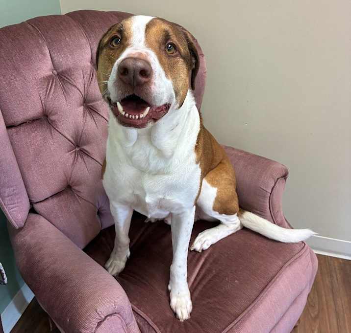 Photo of Buddy