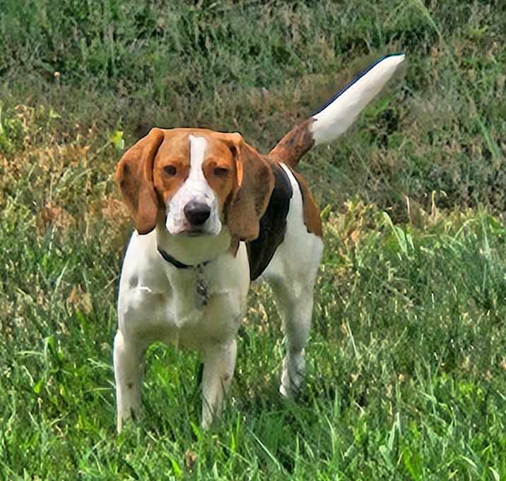 Photo of Stanley