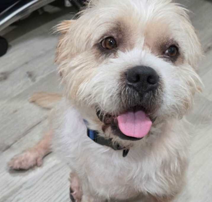 Photo of TANK the man