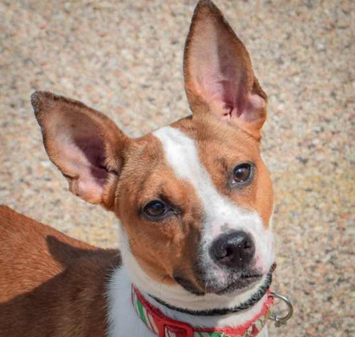 Photo of Lucy