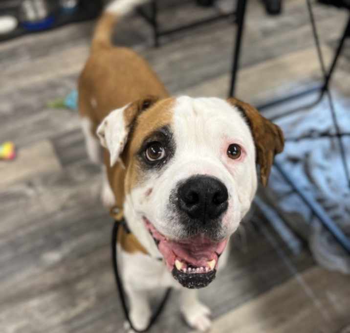 Photo of Zeke