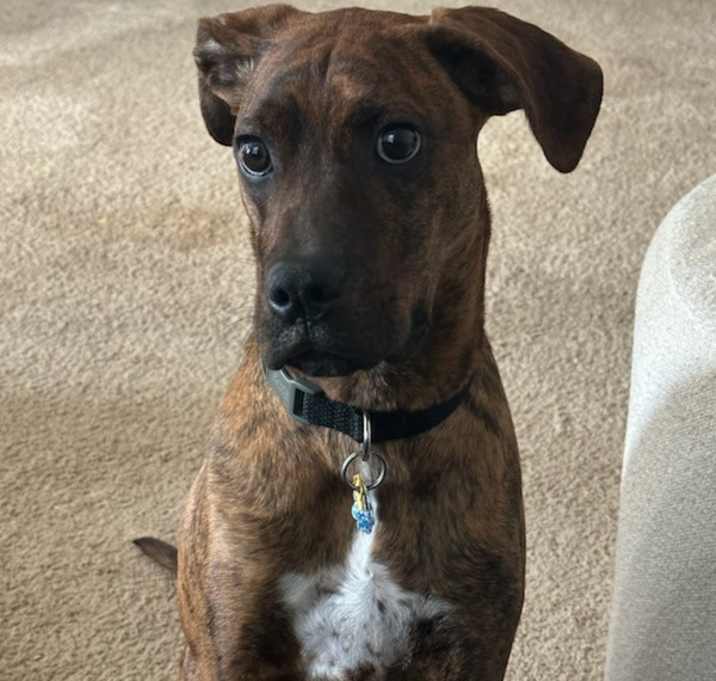 Photo of Courage