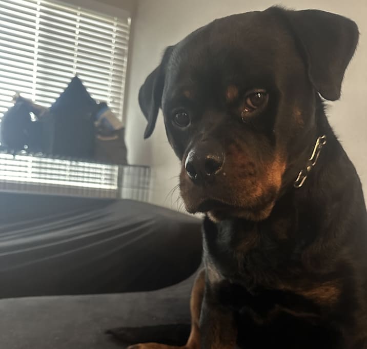 Photo of Cash