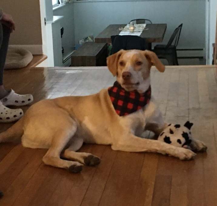 Photo of Duke