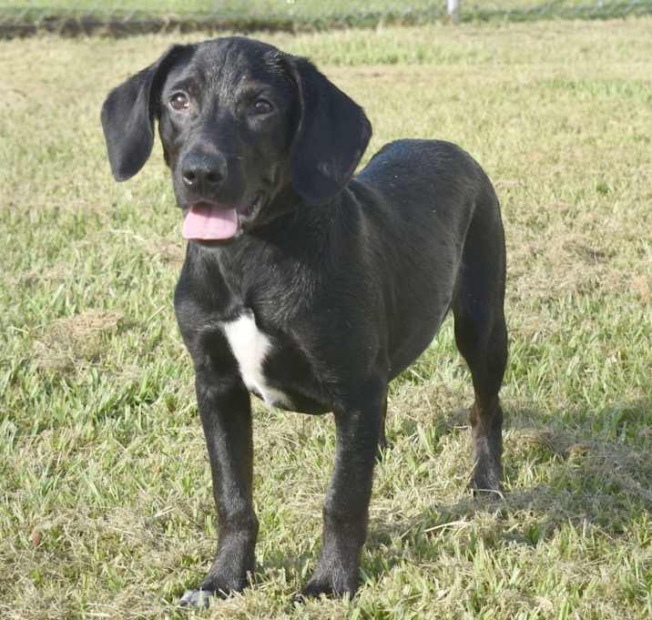 Photo of Ernie